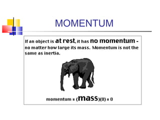 MOMENTUM
 