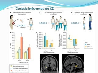 Genetic influences on CD
 