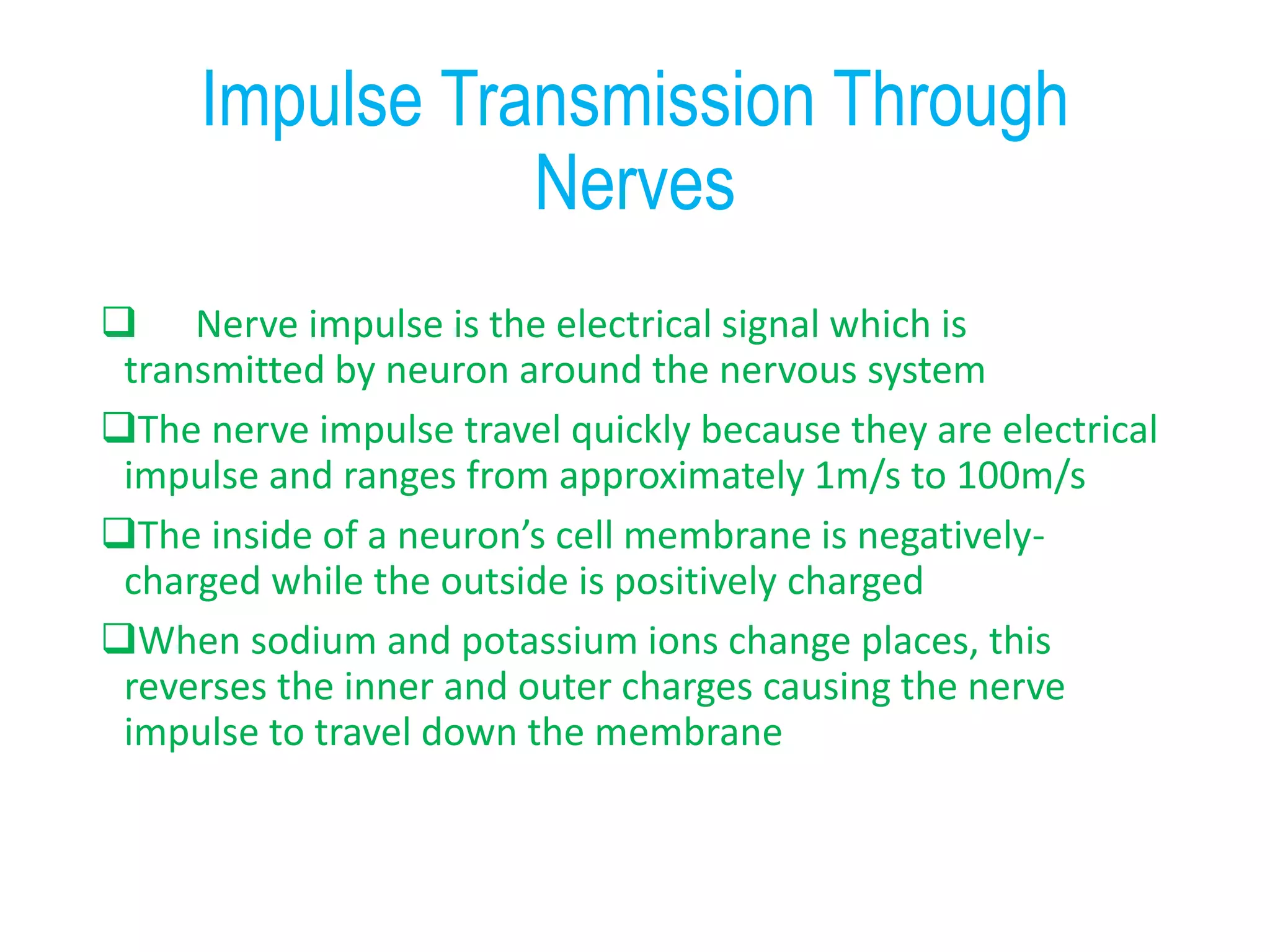 Impulse Transmission Through
Nerves
 Nerve impulse is the electrical signal which is
transmitted by neuron around the nervous system
The nerve impulse travel quickly because they are electrical
impulse and ranges from approximately 1m/s to 100m/s
The inside of a neuron’s cell membrane is negatively-
charged while the outside is positively charged
When sodium and potassium ions change places, this
reverses the inner and outer charges causing the nerve
impulse to travel down the membrane
 