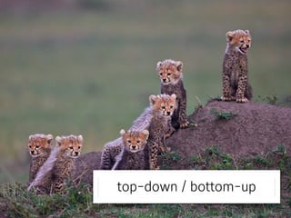 top-down / bottom-up 
 