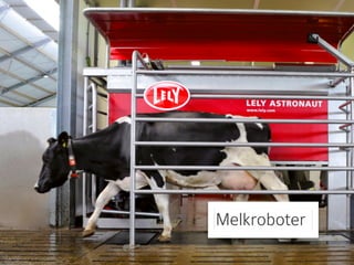 Melkroboter 
 