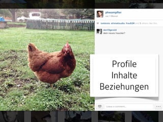 Profile 
Inhalte 
Beziehungen 
 