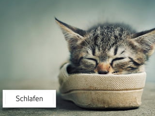 Schlafen 
 
