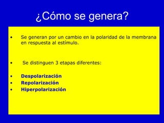 ¿Cómo se genera? Se generan por un cambio en la polaridad de la membrana en respuesta al estímulo. Se distinguen 3 etapas diferentes: Despolarización Repolarización Hiperpolarización   