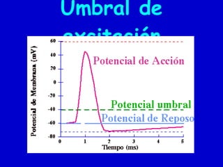 Umbral de excitación 