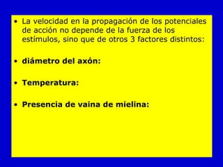La velocidad en la propagación de los potenciales de acción no depende de la fuerza de los estímulos, sino que de otros 3 factores distintos: diámetro del axón: Temperatura:   Presencia de vaina de mielina: 