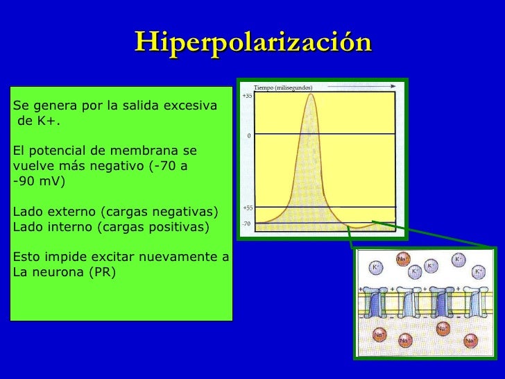 Resultado de imagen de Hiperpolarización