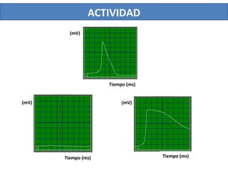 ACTIVIDAD
(mV)
(mV)
(mV)
Tiempo (ms) Tiempo (ms)
Tiempo (ms)
 