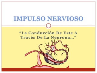 “La Conducción De Este A
Través De La Neurona…”
IMPULSO NERVIOSO
 