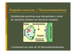 Impulso nervoso / Neurotransmissor
Substâncias químicas que transportam o sinal
do neurónio emissor ao neurónio receptor.

ConhecemConhecem-se mais de 30 Neurotransmissores.

 