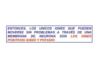 ENTONCES, LOS UNICOS IONES QUE PUEDEN MOVERSE SIN PROBLEMAS A TRAVÉS DE UNA MEMBRANA DE NEURONA SON  LOS IONES POSITIVOS SODIO Y POTASIO. 