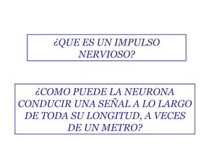 ¿QUE ES UN IMPULSO NERVIOSO? ¿COMO PUEDE LA NEURONA CONDUCIR UNA SEÑAL A LO LARGO DE TODA SU LONGITUD, A VECES DE UN METRO? 