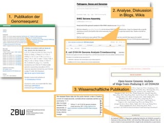 2. Analyse, Diskussion in Blogs, Wikis 
1. 
Publikation der Genomsequenz 
3. Wissenschaftliche Publikation  