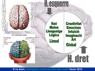 E S Q U E R R E H. dret Raó Mates Llenguatge Lògica Creativitat Emocions Intuició Imaginació Art H. esquerre D R E T Núria Alart,  [email_address]  /  www.xtec.cat/~nalart  Gener 2010 Lineal Global 