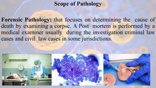 Scope of Pathology
Forensic Pathology: that focuses on determining the cause of
death by examining a corpse. A Post mortem...