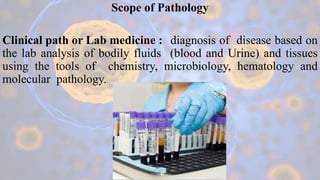 Scope of Pathology
Clinical path or Lab medicine : diagnosis of disease based on
the lab analysis of bodily fluids (blood ...