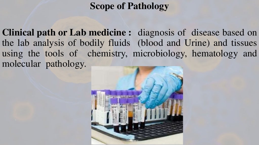 definition and scope of pathology