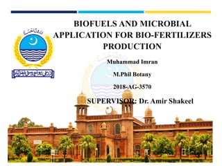 BIOFUELS AND MICROBIAL
APPLICATION FOR BIO-FERTILIZERS
PRODUCTION
Muhammad Imran
M.Phil Botany
2018-AG-3570
SUPERVISOR: Dr. Amir Shakeel
 