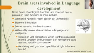 Some Sever phonological disorders are observed due to
problem in Brain functions or brain mishaps
 Wernicke’s Aphasia: Fluent speech but unintelligible
 Electrical Stimulation
 Borca’s aphasia: Nonfluent speech
 Williams Syndrome: disassociation in language and
intelligence.
Problem in Left-hemisphere: which controls sequential
analysis ,problem and Language. Left hemisphere could
read and verbally communicate
Vocabulary and grammar capabilities of right is far less
than left
Brain areas involved in Language
development
Imrana Shakoor batch 2016
 