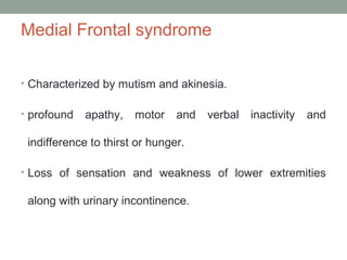 Frontal Lobe Anatomy And Clinical Relevance PPT frontal-lobe-anatomy-and-clinical-relevance-ppt