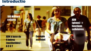 3
Introductio
n
100 Milliard
cellules
ADN à base de
4 lettres
(nucléotides) :
A C G T
ADN
(gènes) 
fonctions
cellulaires
Exemple
motivant
 