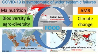 CABI 2020
African Swine Fever
¼ global pig population killed
Fall armyworm
USD 6 billion/yr in 12 African countries
High p...