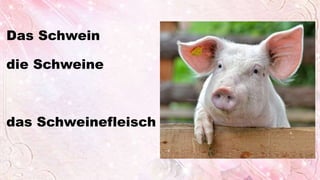 Das Schwein
die Schweine
das Schweinefleisch
 