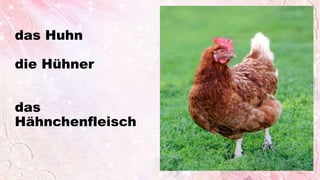 das Huhn
die Hühner
das
Hähnchenfleisch
 