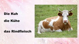 Die Kuh
die Kühe
das Rindfleisch
 