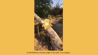 A wild Pokémon actually caught in the wild. It can happen.
 