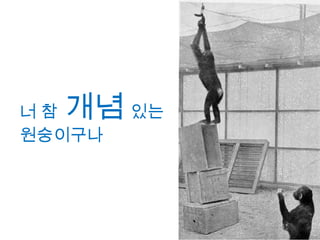 너 참 개념 있는
원숭이구나
 