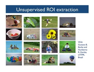 Unsupervised ROI extraction	

	

With
Gustavo B.
Borba and
Humberto
R. Gamba,
UTFPR,
Brazil	

 
