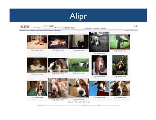 Alipr	

 