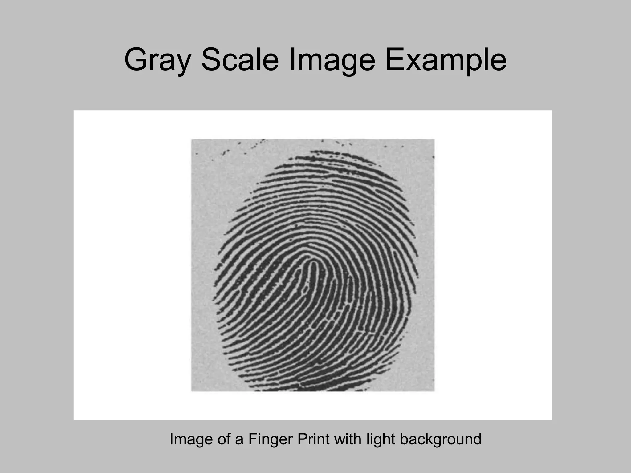 Gray Scale Image Example
Image of a Finger Print with light background
 