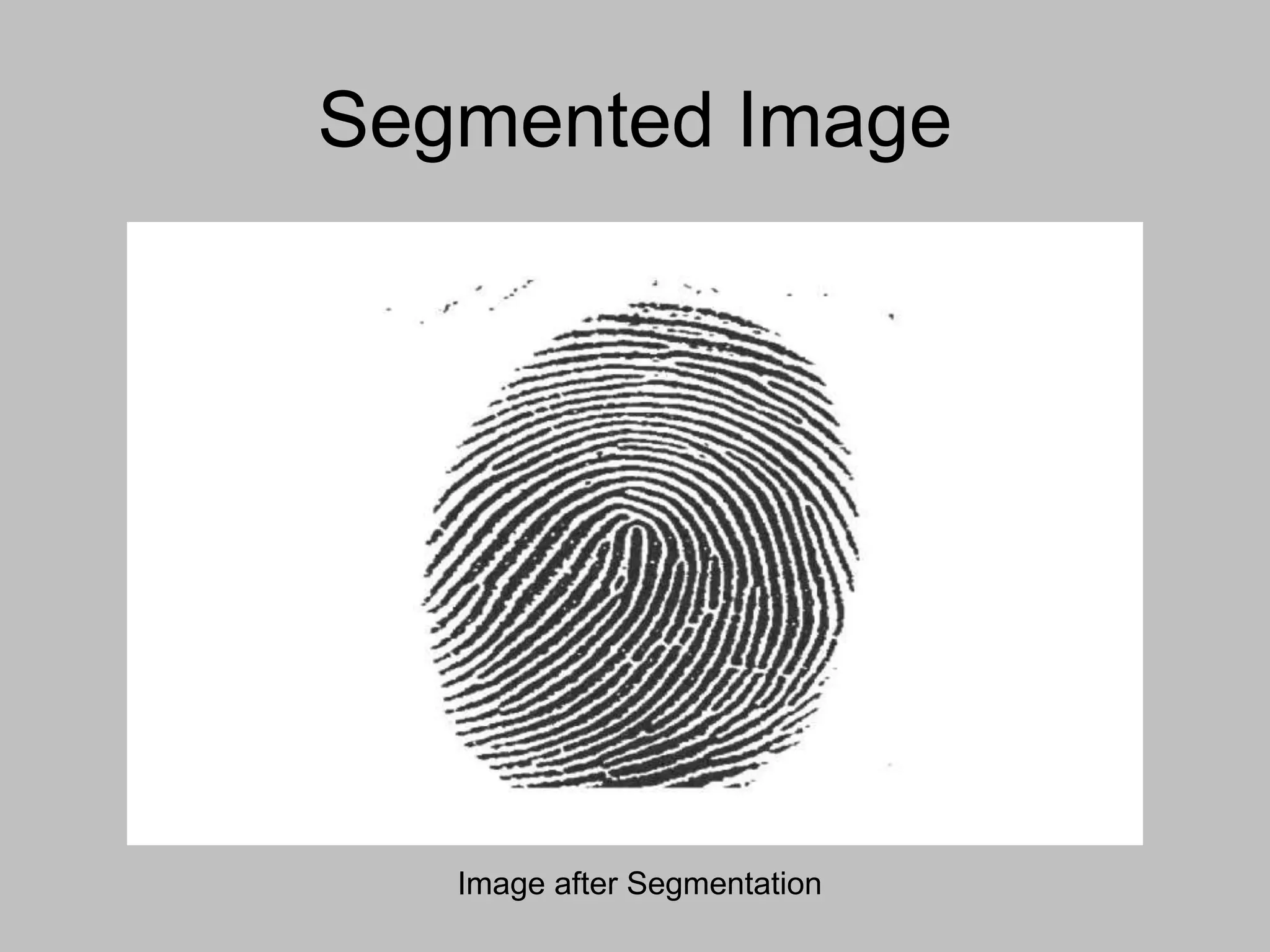 Segmented Image
Image after Segmentation
 