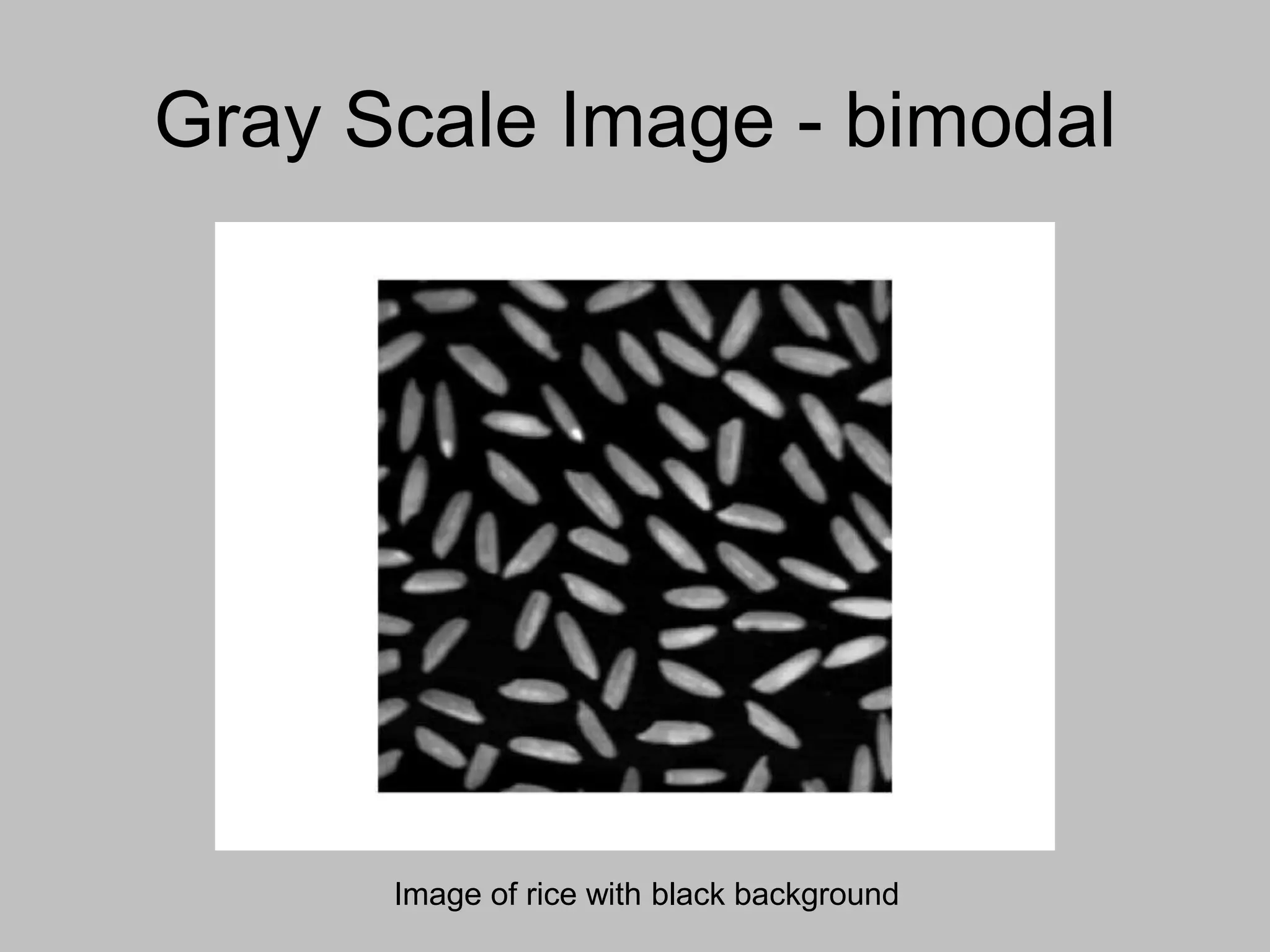 Gray Scale Image - bimodal
Image of rice with black background
 