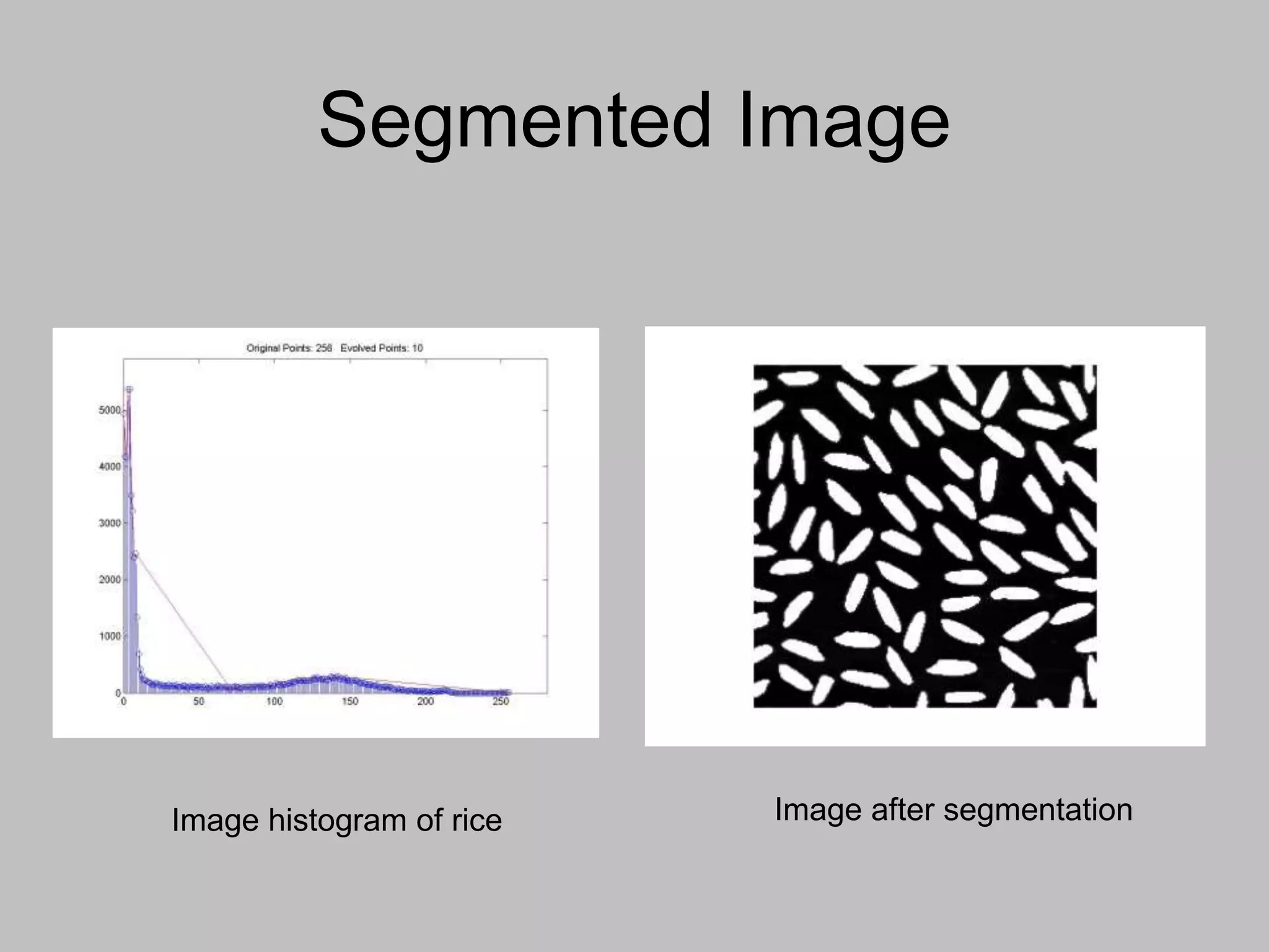 Segmented Image
Image after segmentation
Image histogram of rice
 
