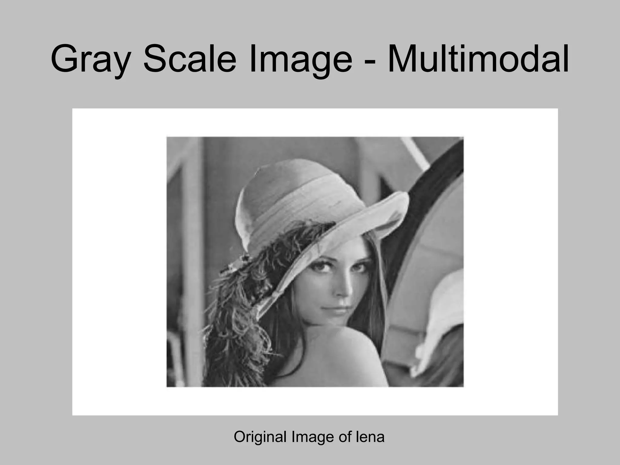 Gray Scale Image - Multimodal
Original Image of lena
 
