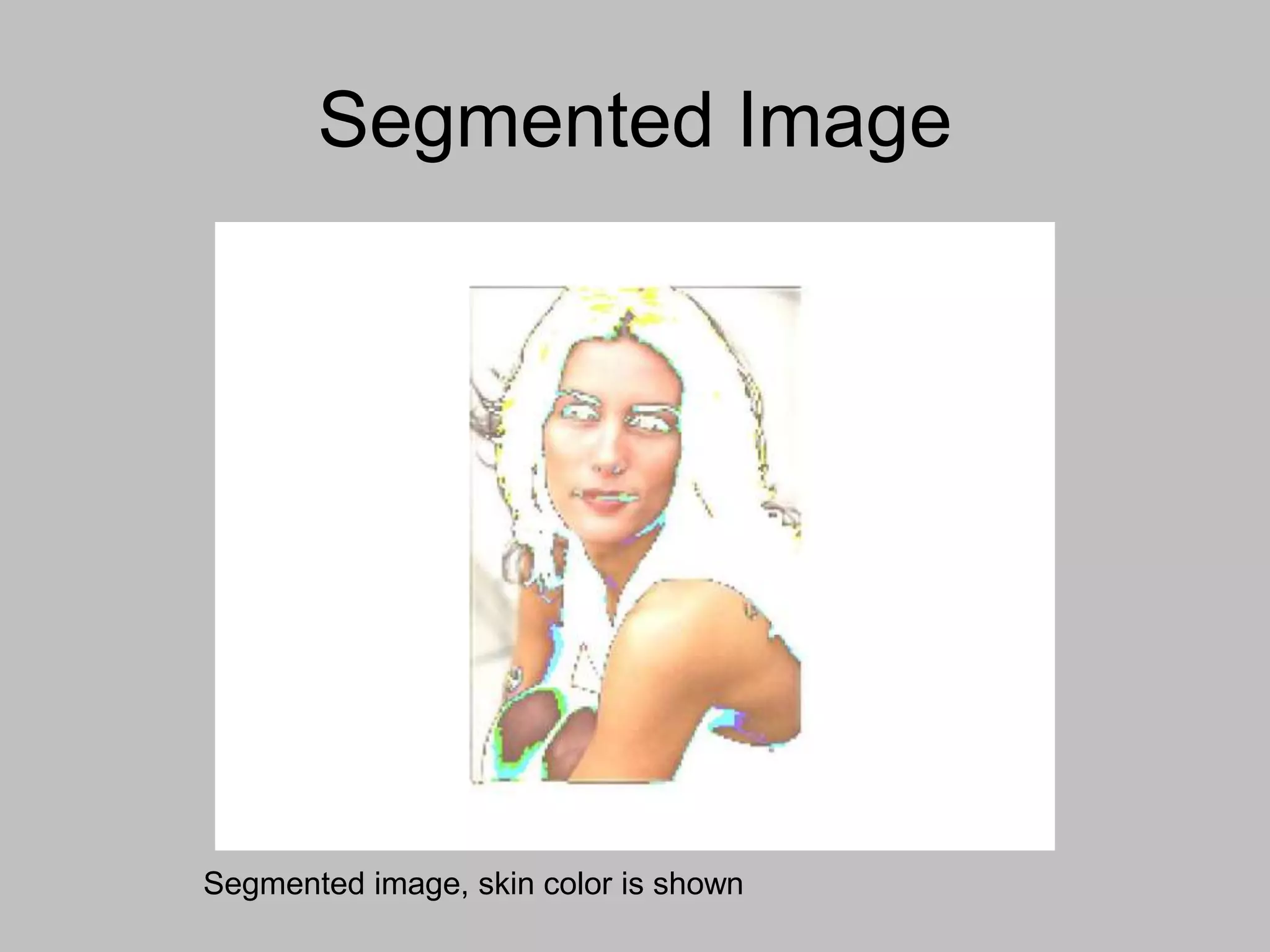 Segmented Image
Segmented image, skin color is shown
 