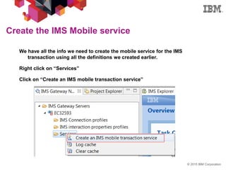 IMS explorer for development | PDF