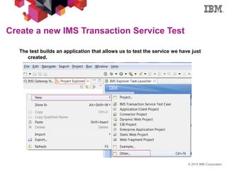 IMS explorer for development | PDF