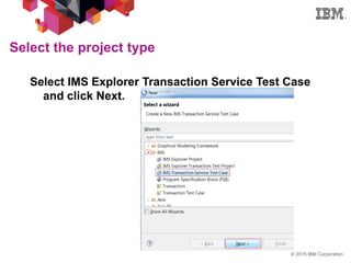 IMS explorer for development | PDF