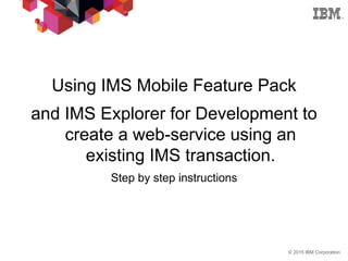 IMS explorer for development | PDF