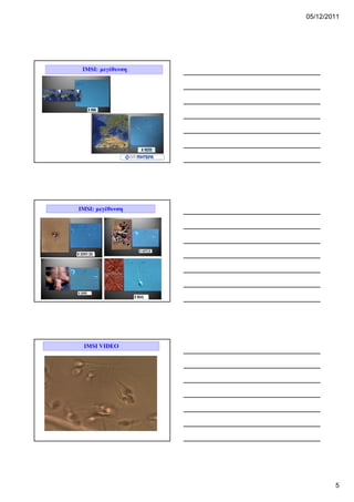 05/12/2011




 IMSI: μεγέθυνση




IMSI: μεγέθυνση




 IMSI VIDEO




                           5
 