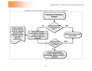 Valoración Geronto Geriatrica IMSS | PDF