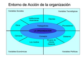 LA ORGANIZACION Entorno de Acción de la organización Variables Sociales Variables Tecnológicas Variables Económicas Variables Políticas Trabajadores Consejos Clientes Proveedores Gobierno Grupos de interés Especial Los medios Cámaras Instituciones financieras Otros 