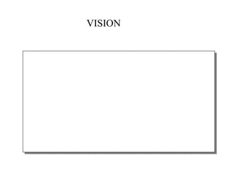 VISION 