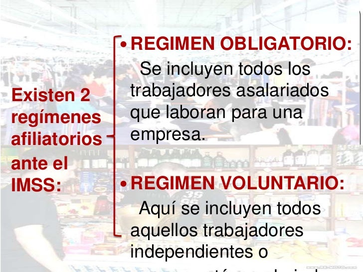 Imss parte 2
