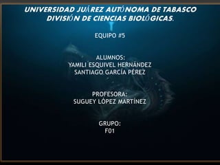 UNIVERSIDAD JUÁREZ AUTÓNOMA DE TABASCO
DIVISIÓN DE CIENCIAS BIOLÓGICAS.
EQUIPO #5
ALUMNOS:
YAMILI ESQUIVEL HERNÁNDEZ
SANTIAGO GARCÍA PÉREZ
PROFESORA:
SUGUEY LÓPEZ MARTÍNEZ
GRUPO:
F01
 