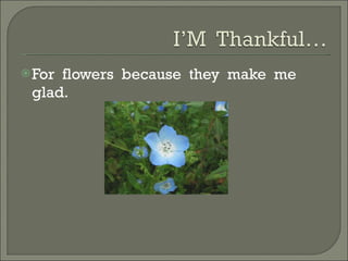 For  flowers  because  they  make  me  glad. 